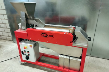 Separator magnetic LSV – sortarea cenușii