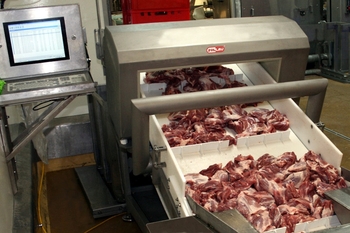 Detector de metale tunel METRON 05 CI – controlul produselor din carne în industria alimentară